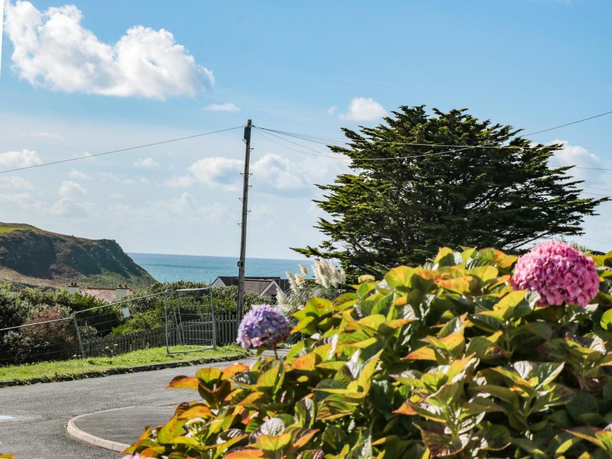 33 Weymouth Park Villa Kingsbridge  Exteriör bild